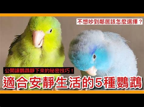 什麼動物可以養|寵物推薦